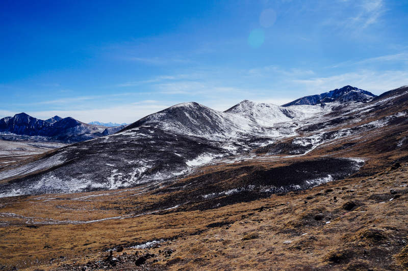 米拉山口雪山草原风光图片