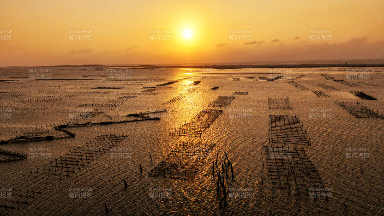 夕阳下的渔排美景图片