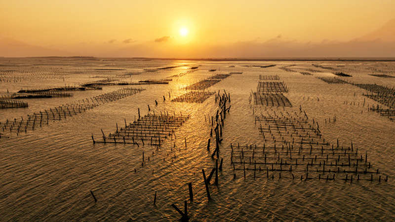 夕阳下的渔排图片