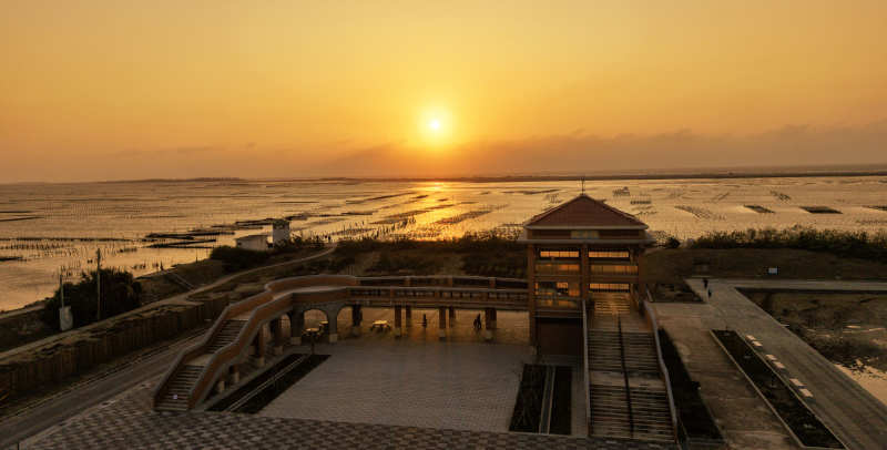 夕阳下的湿地栈道图片