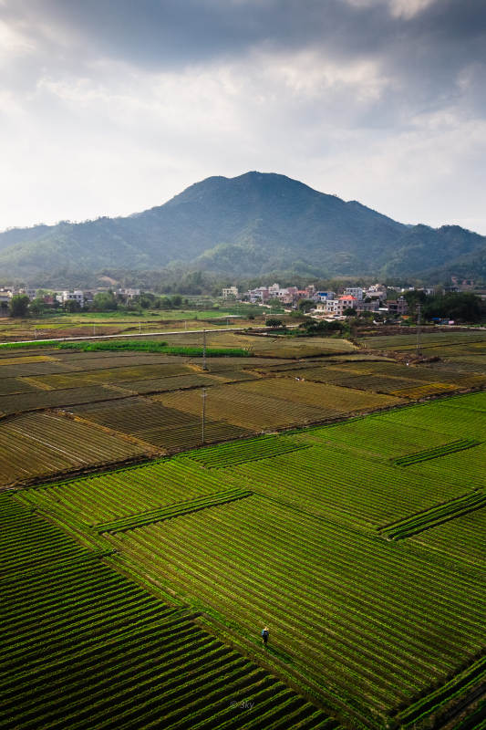 乡村田园耕种的人民图片