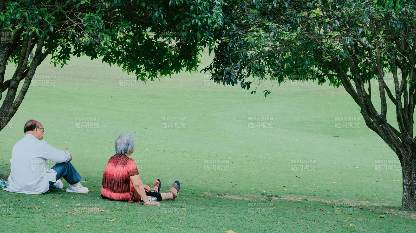 树下静坐的老人图片