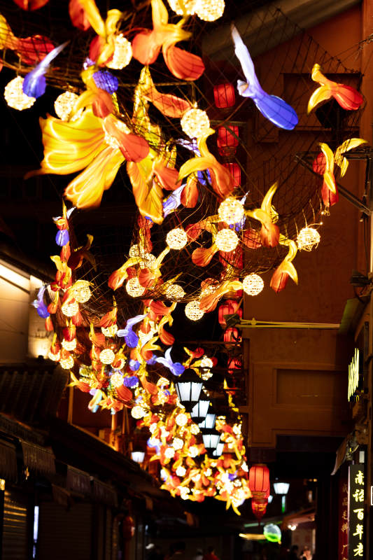 花灯璀璨夜市街图片