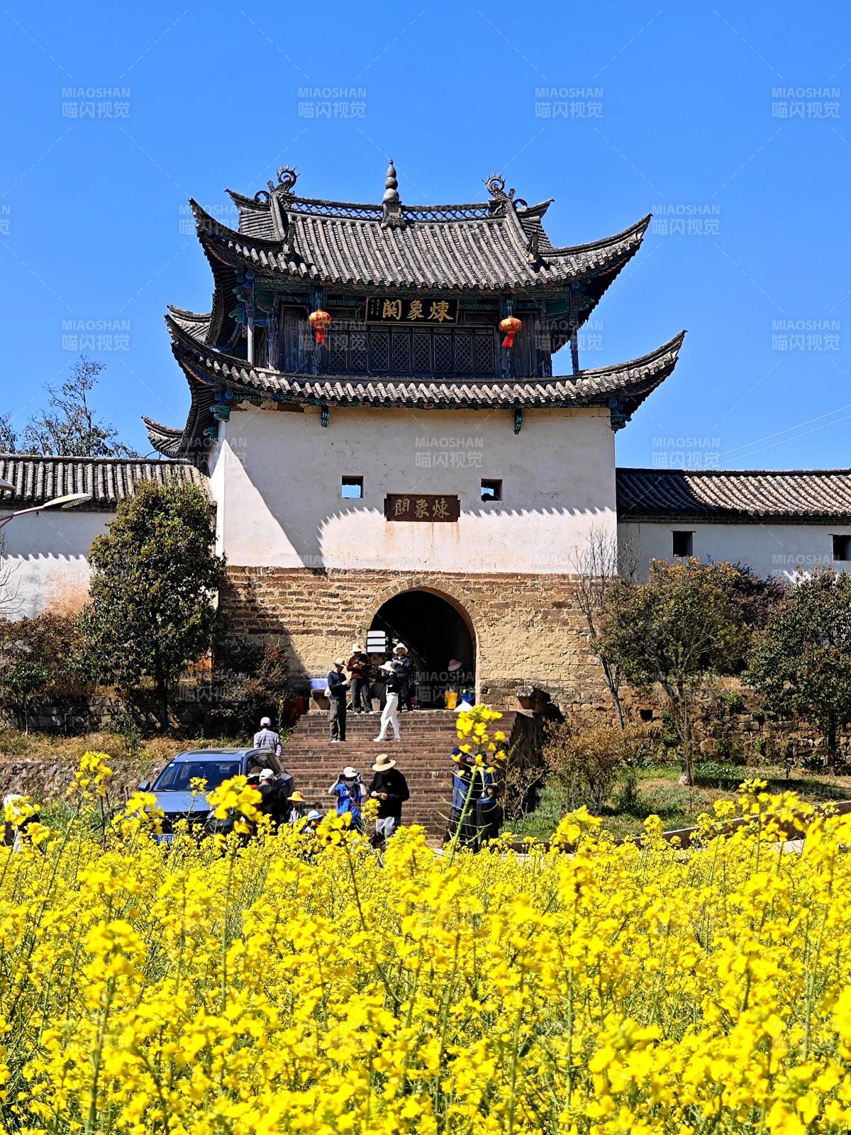 油菜花古门图片