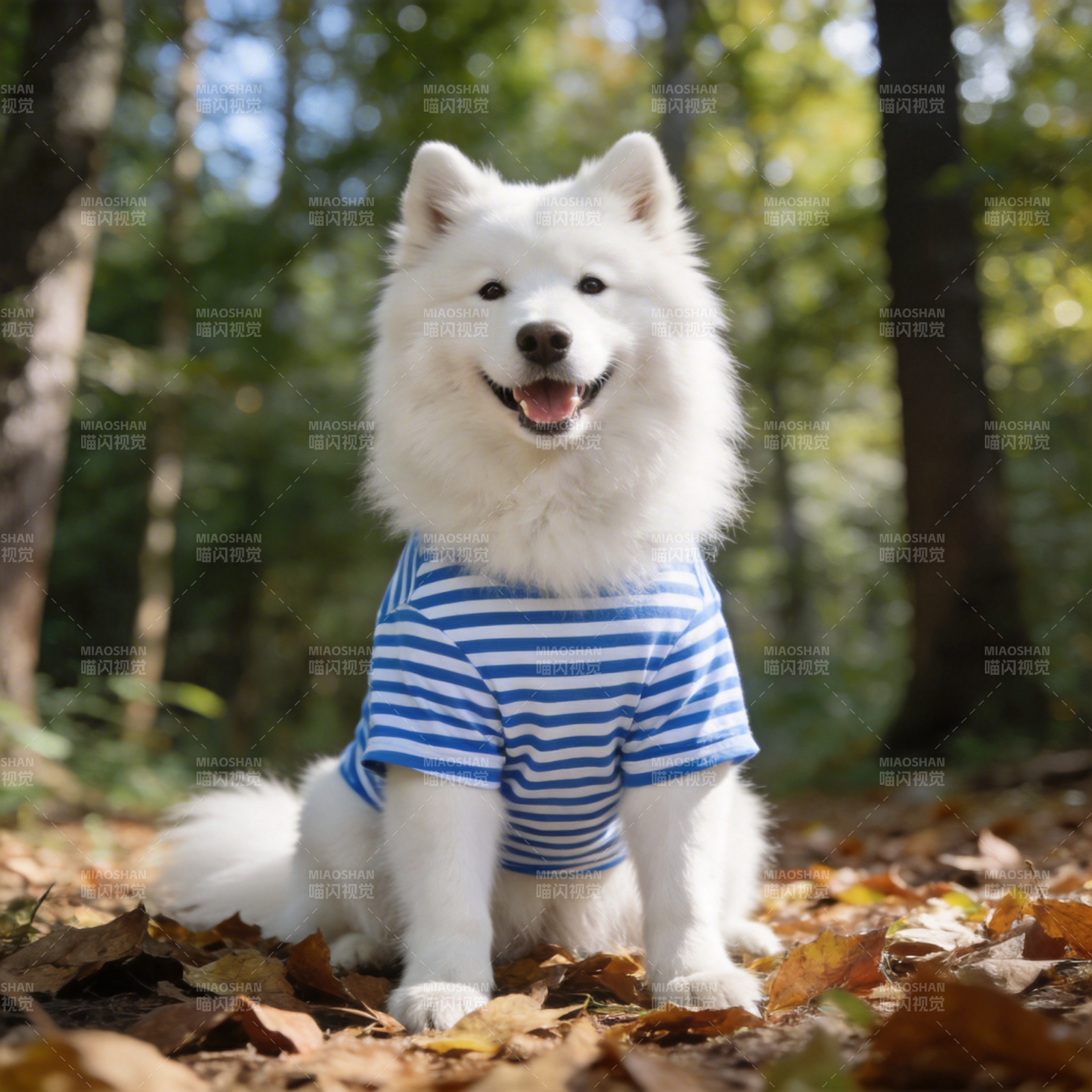 秋林萌犬笑开颜图片