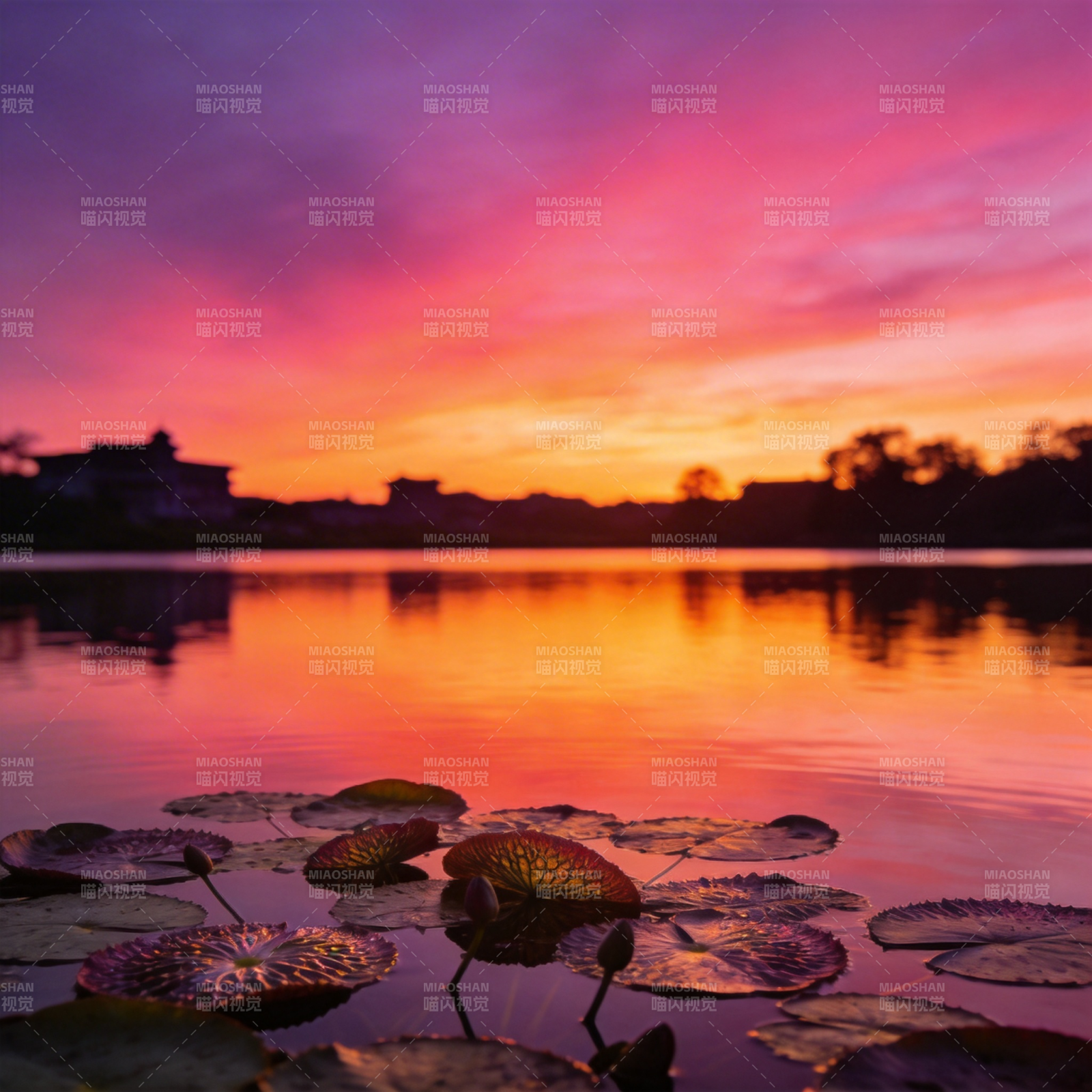 晚霞映荷塘图片