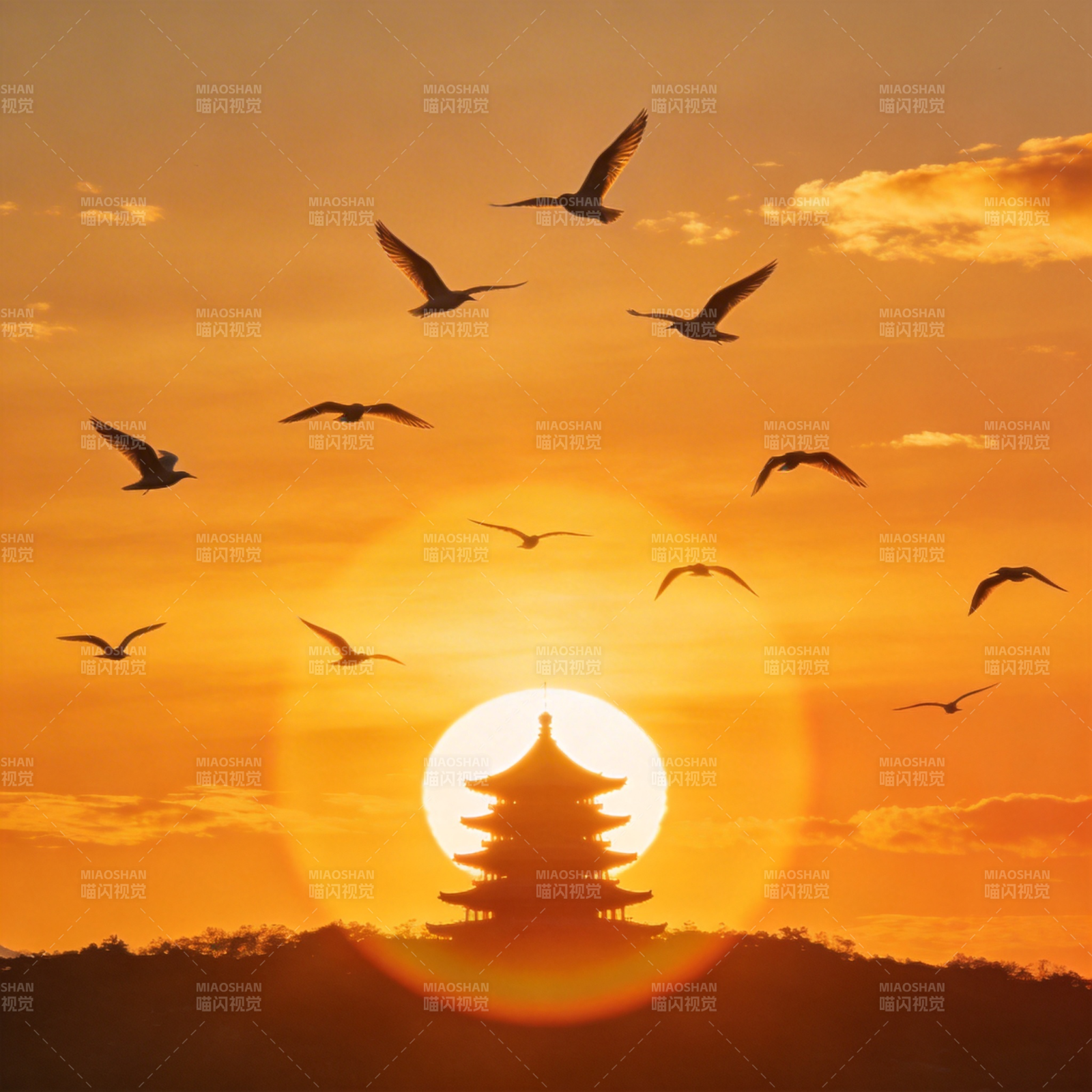 夕阳塔影飞鸟归图片