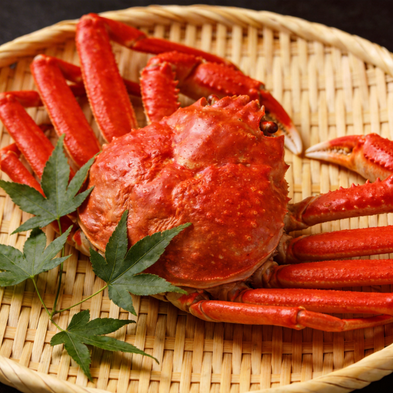 红蟹配枫叶图片