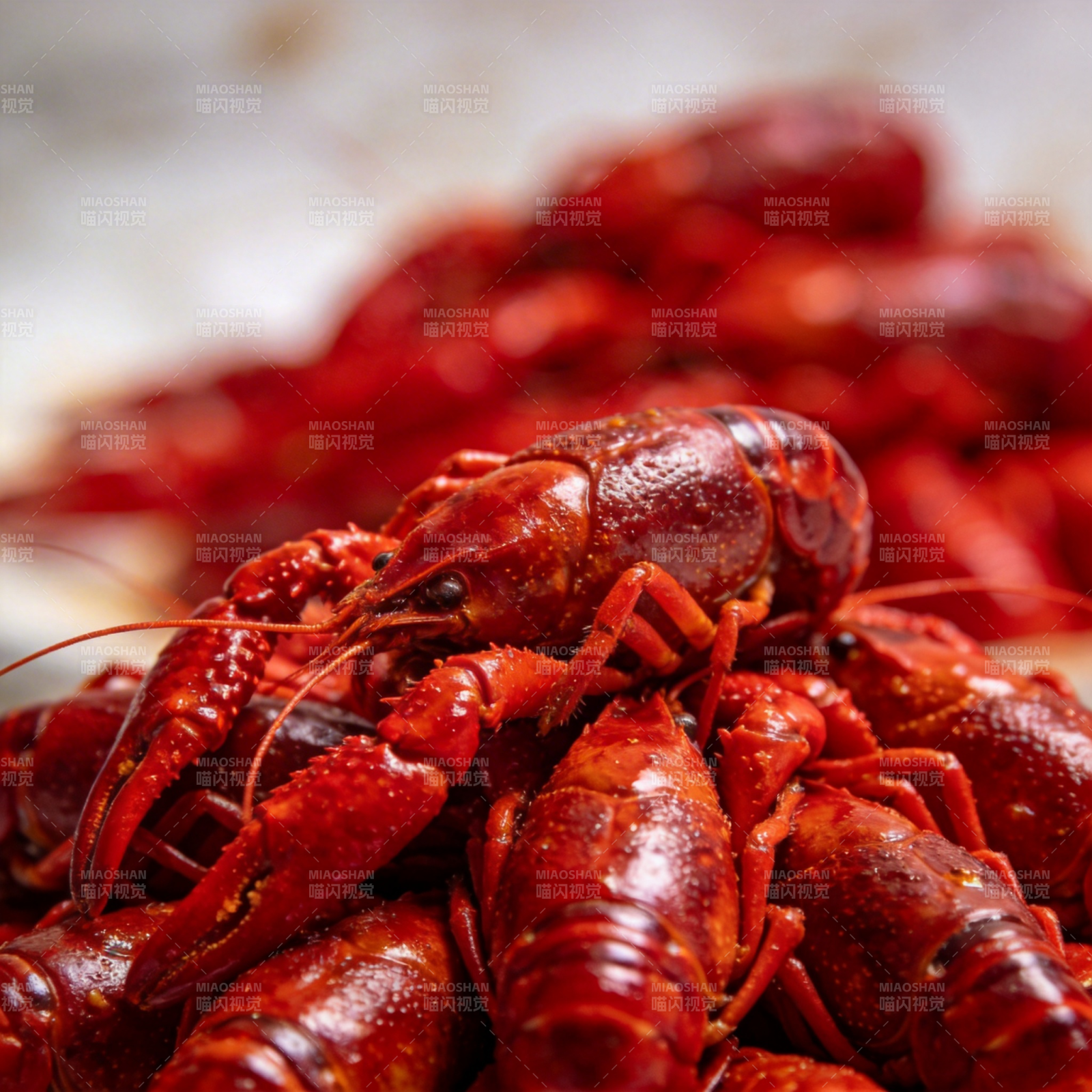 鲜红小龙虾堆叠图片