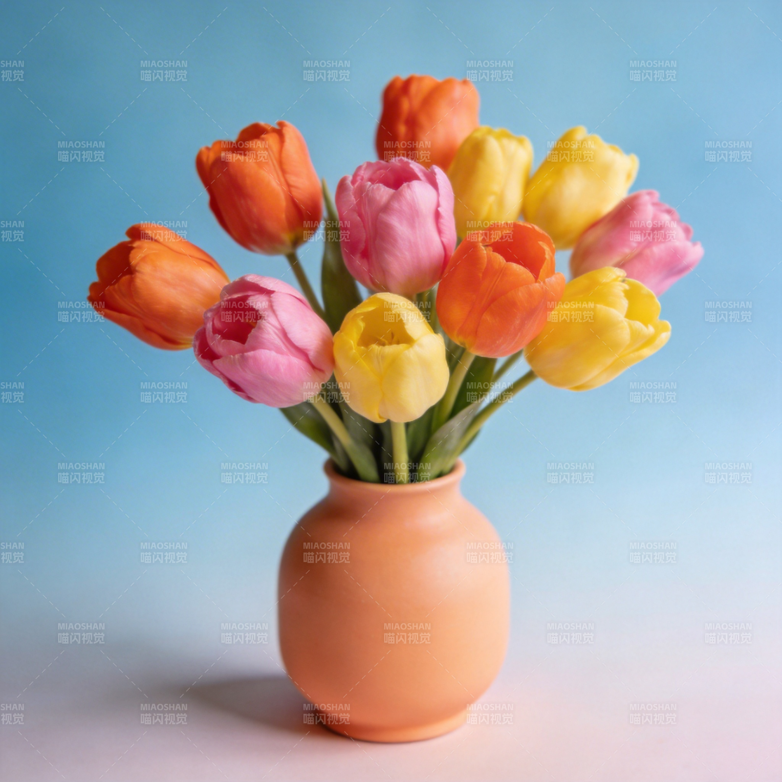 多彩郁金香绽放图片