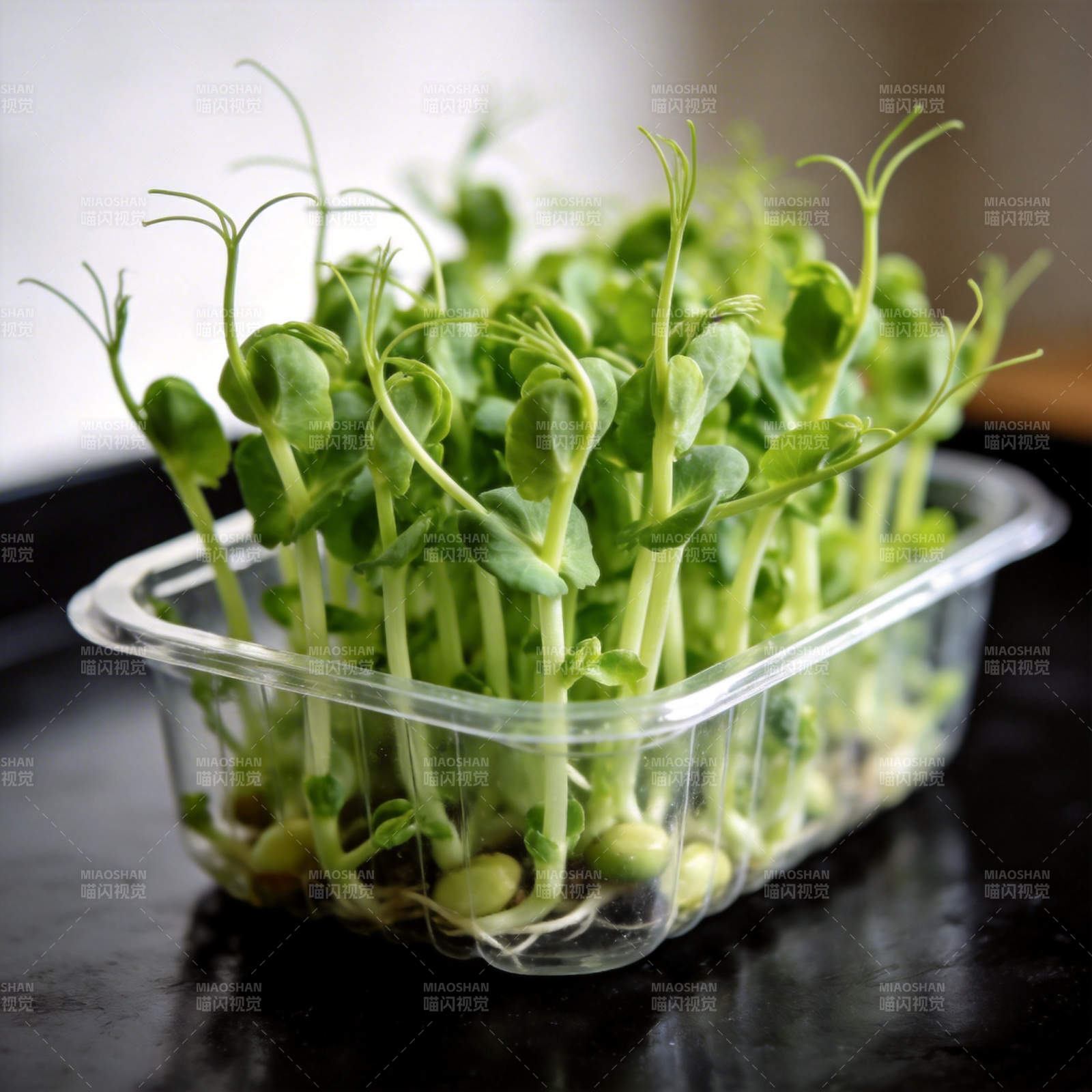 新鲜豌豆苗图片