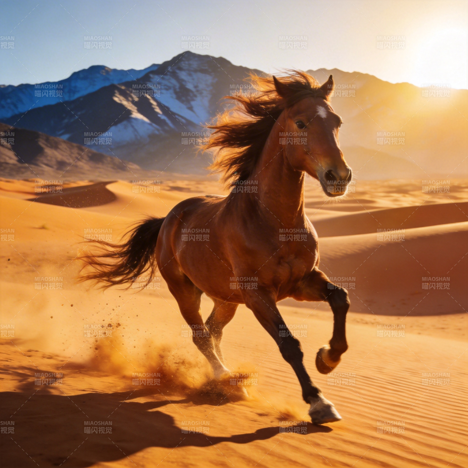 骏马奔腾沙漠图片