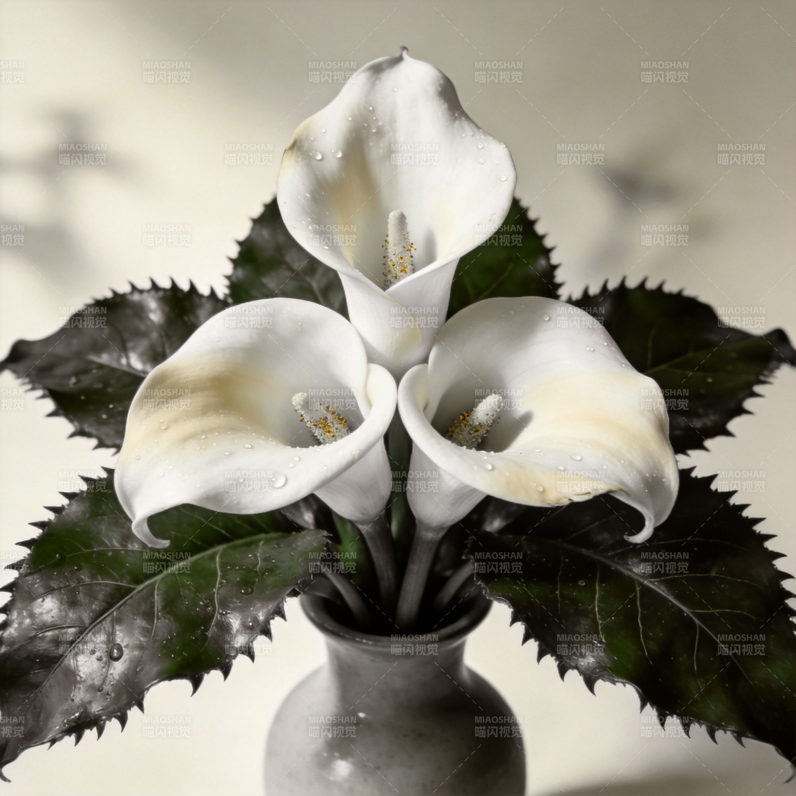 白花绿叶静谧美图片