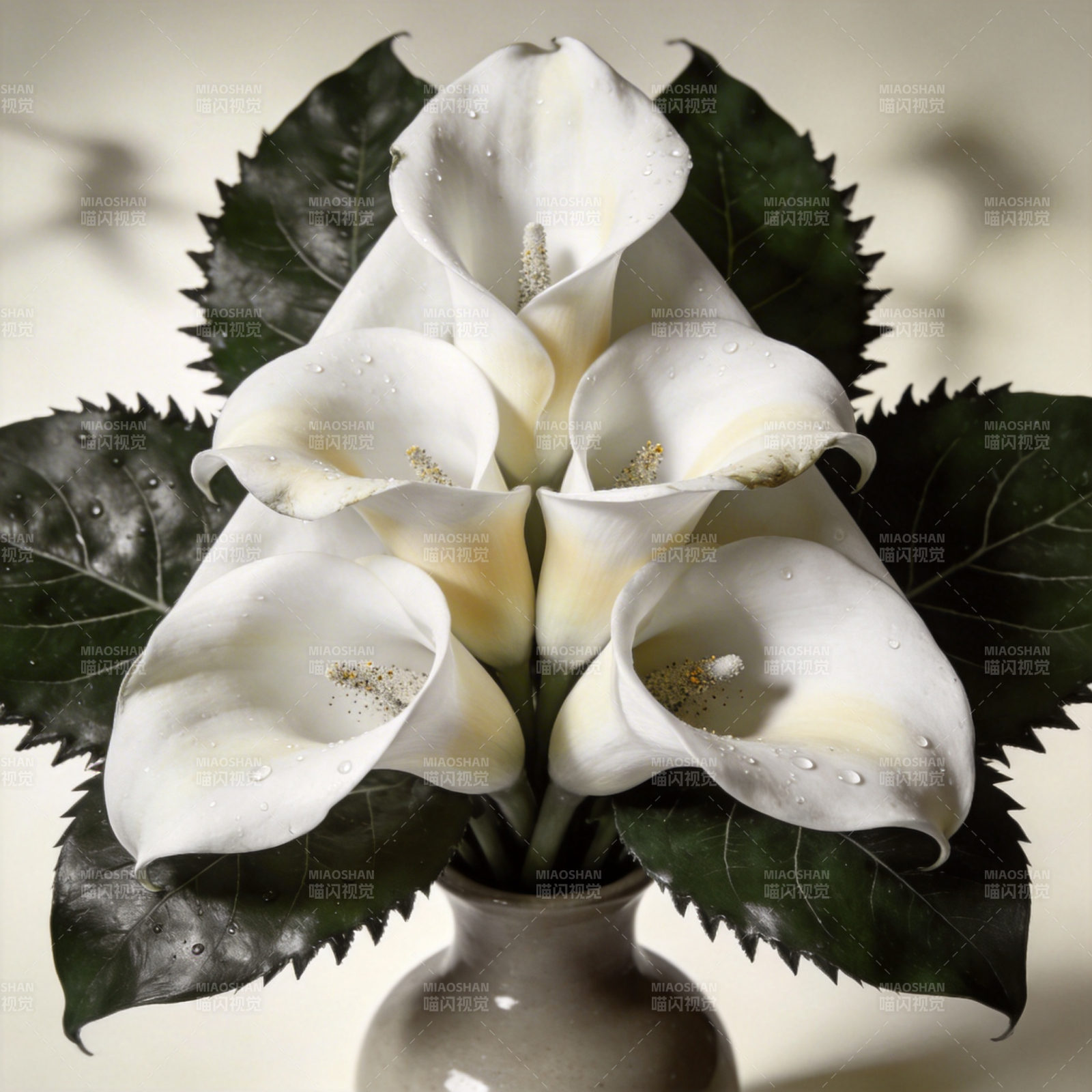 白花绿叶静谧美图片