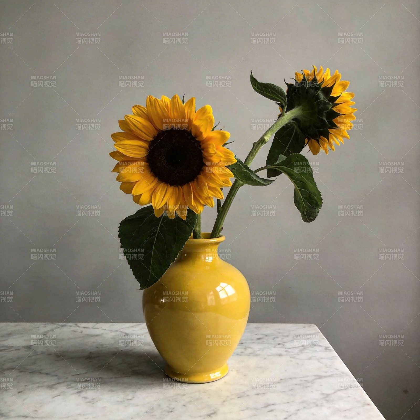 向日葵静物图片