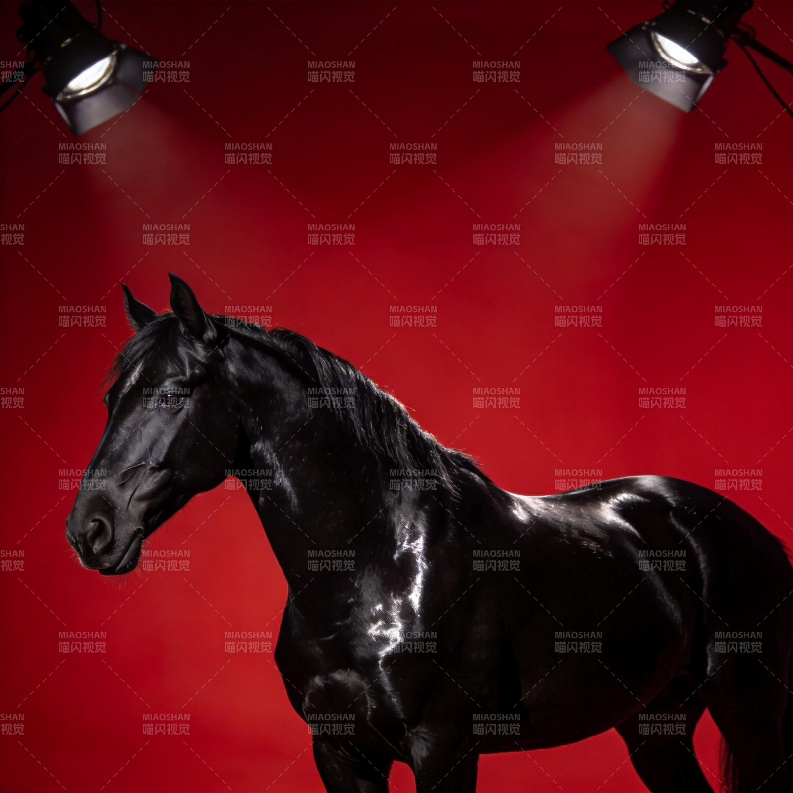 黑骏马舞台光影图片