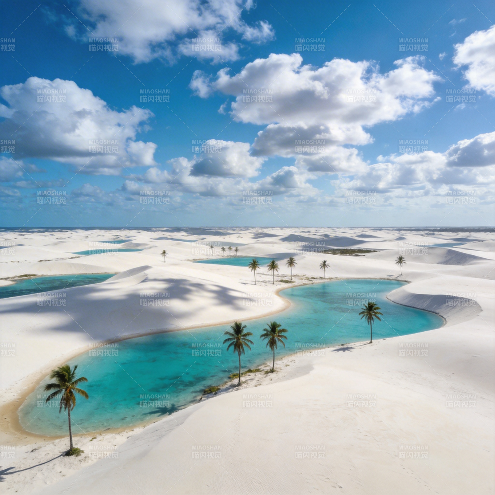 碧海白沙椰林梦图片