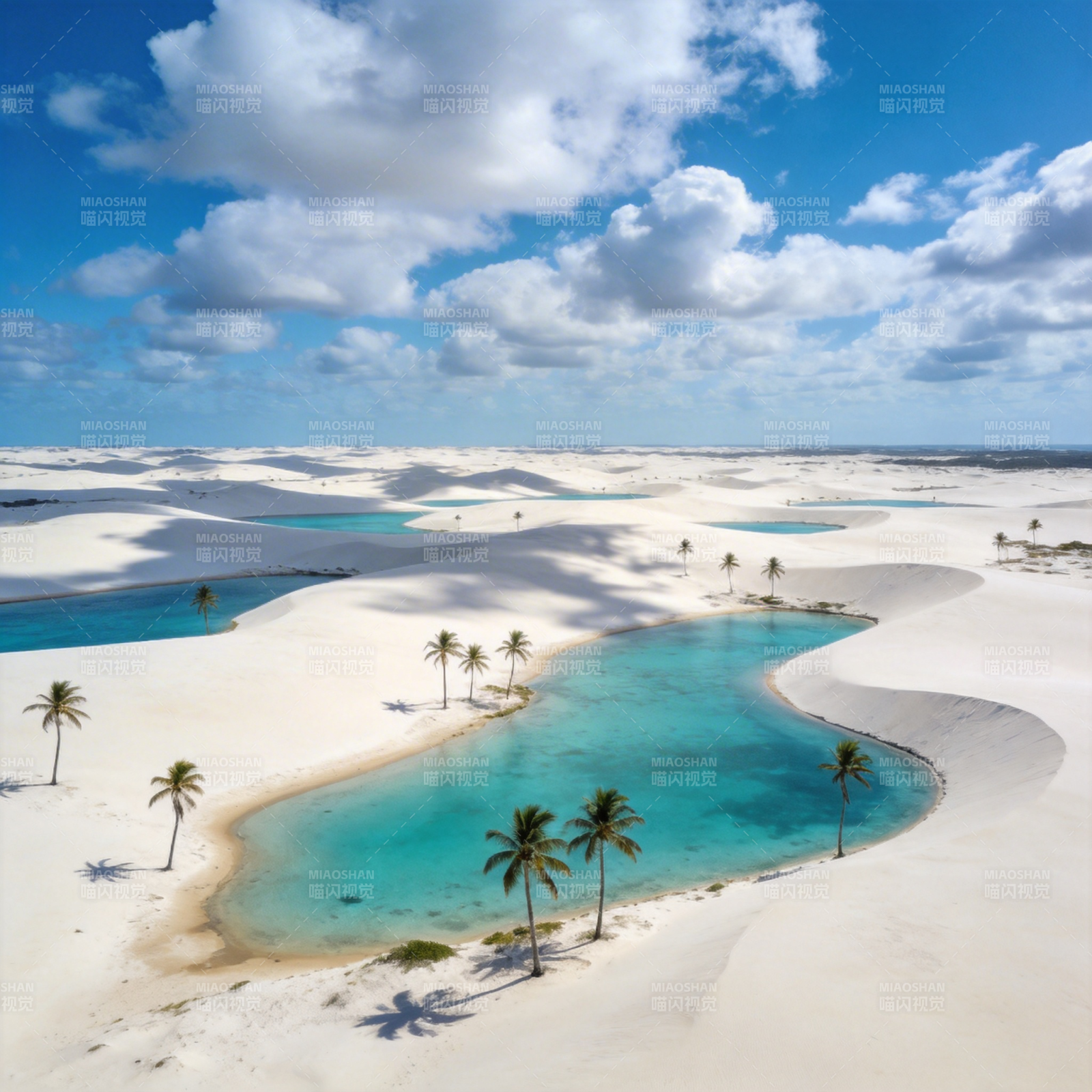 碧海白沙椰林梦图片