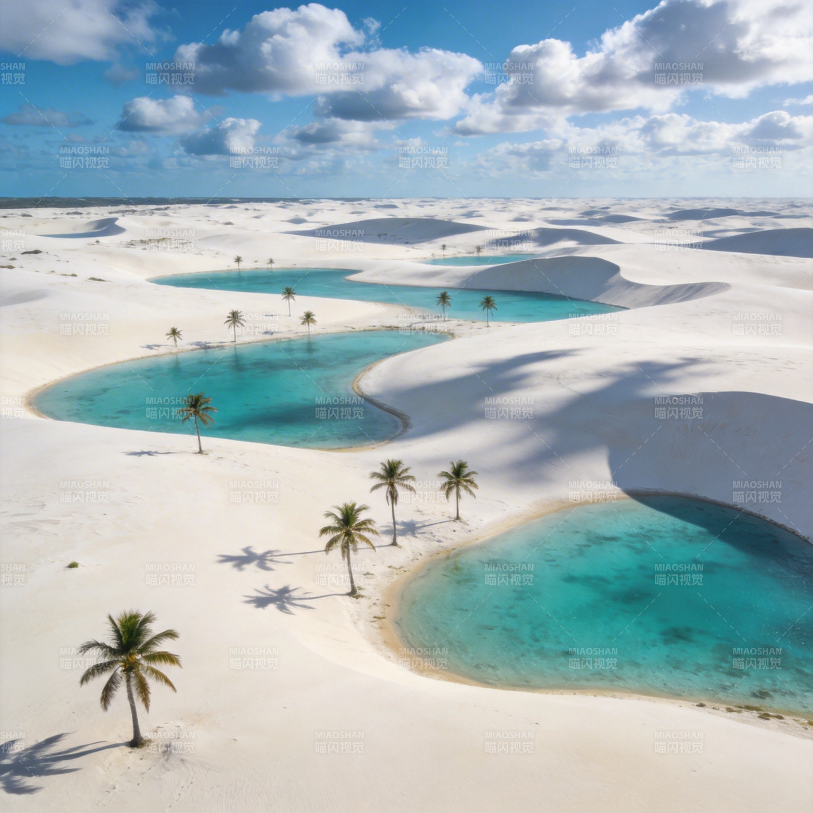 碧水白沙椰影图片