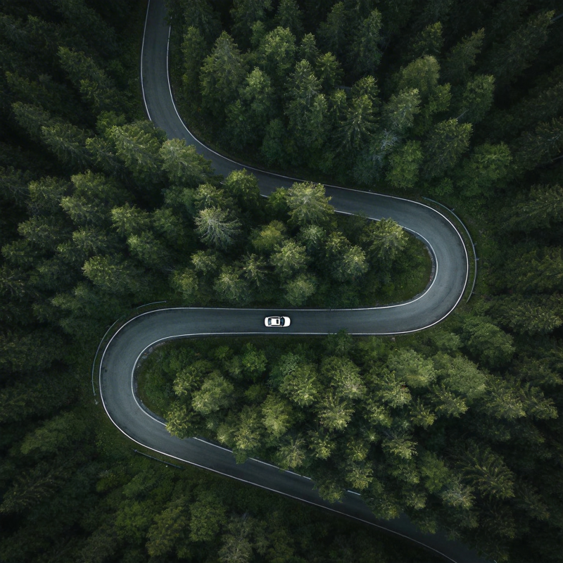 林间蜿蜒路图片