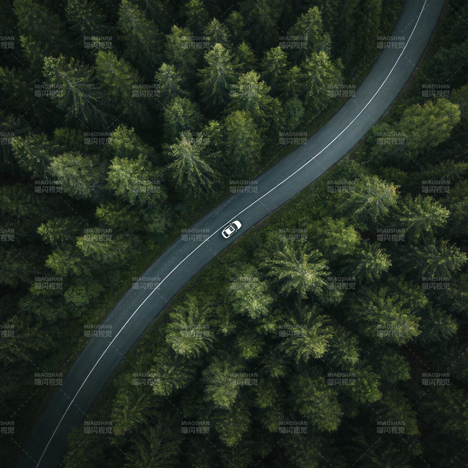 林间公路行车图图片