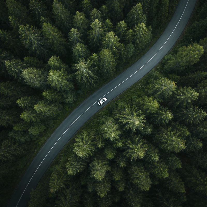 林间公路行车图图片