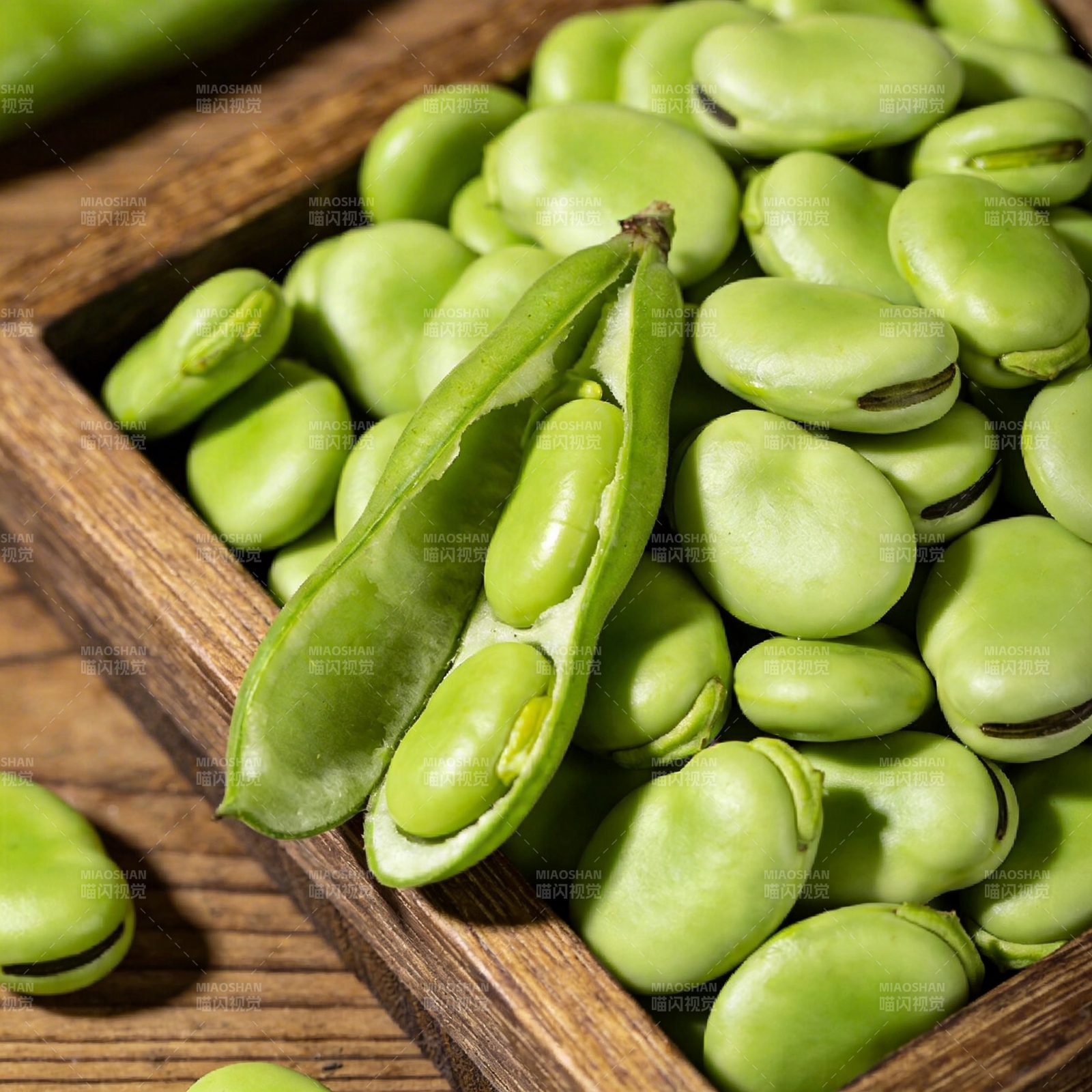 新鲜蚕豆特写图片