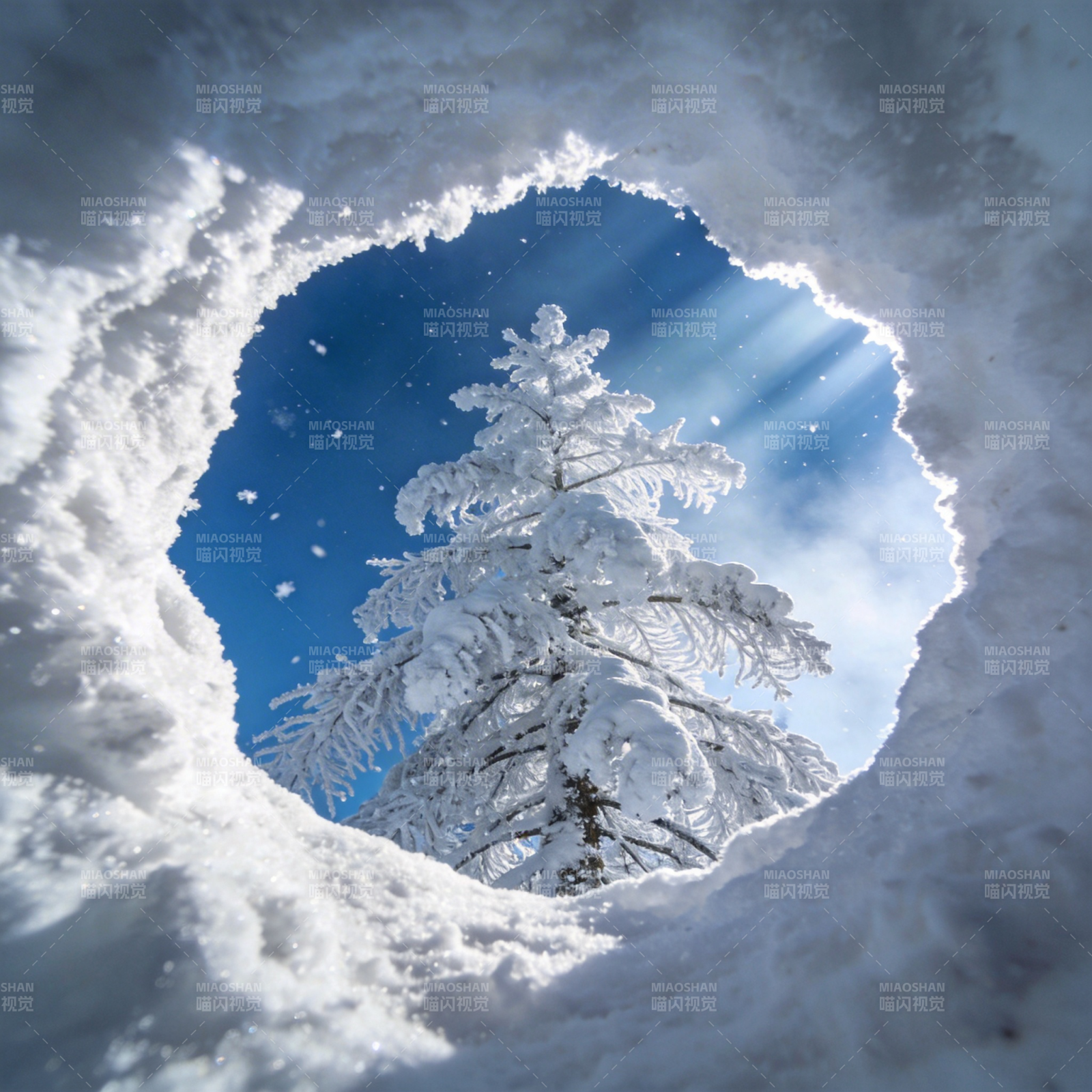 雪洞望松图片