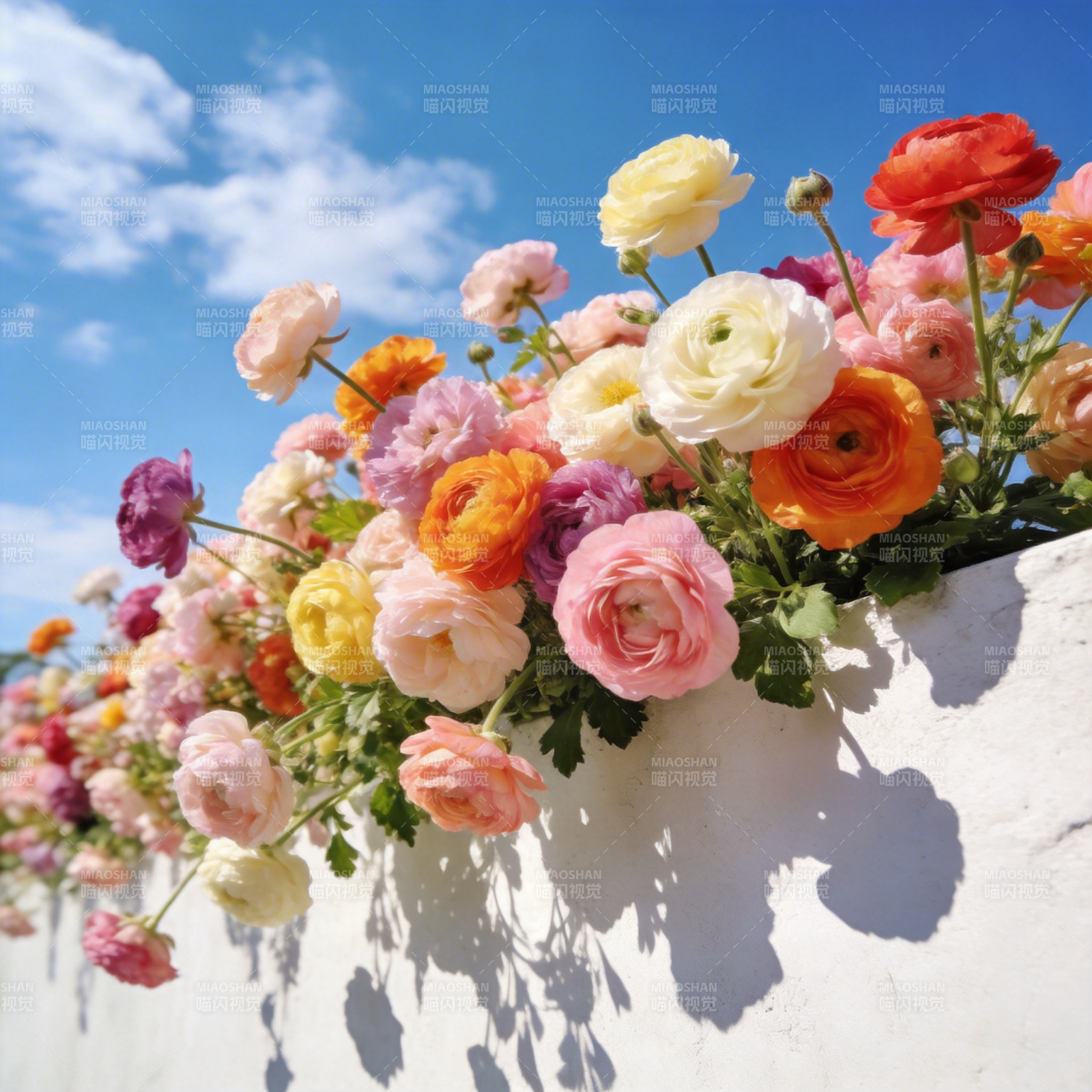 花墙映蓝天图片