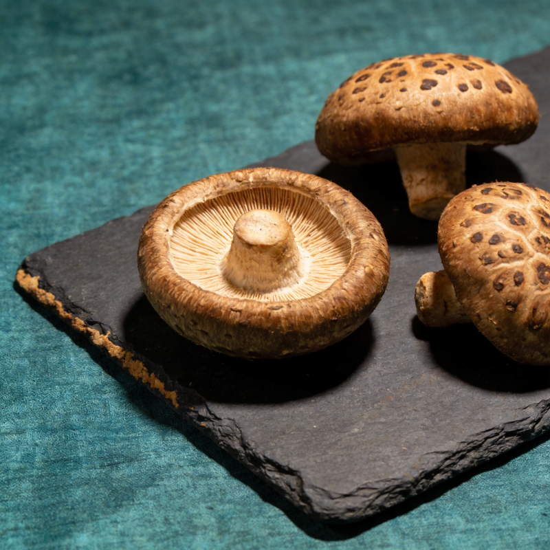 香菇静物图图片