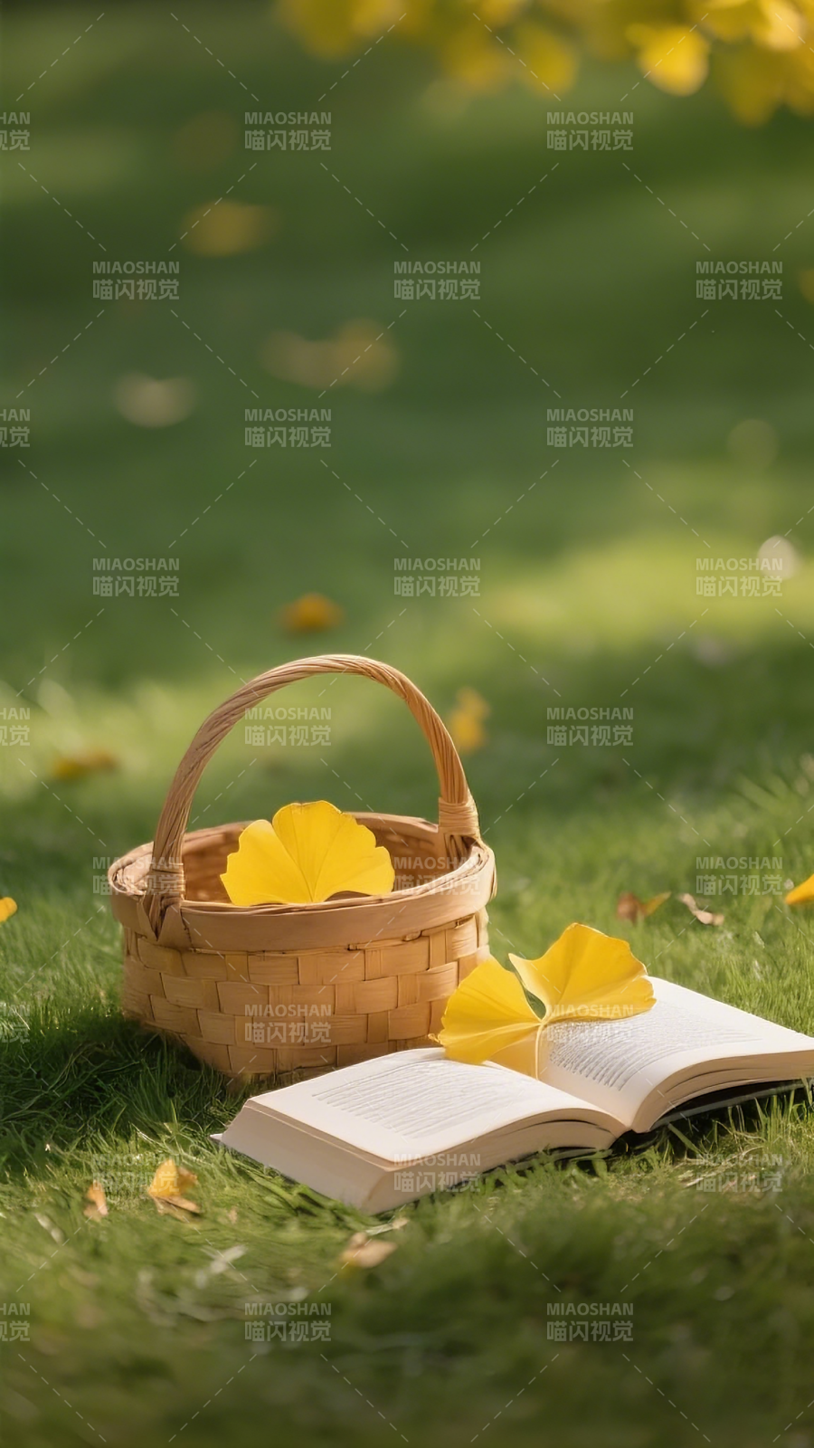 秋日阅读时光图片