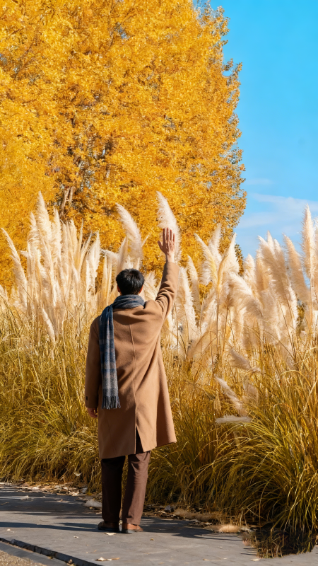 秋日挥手致意图片