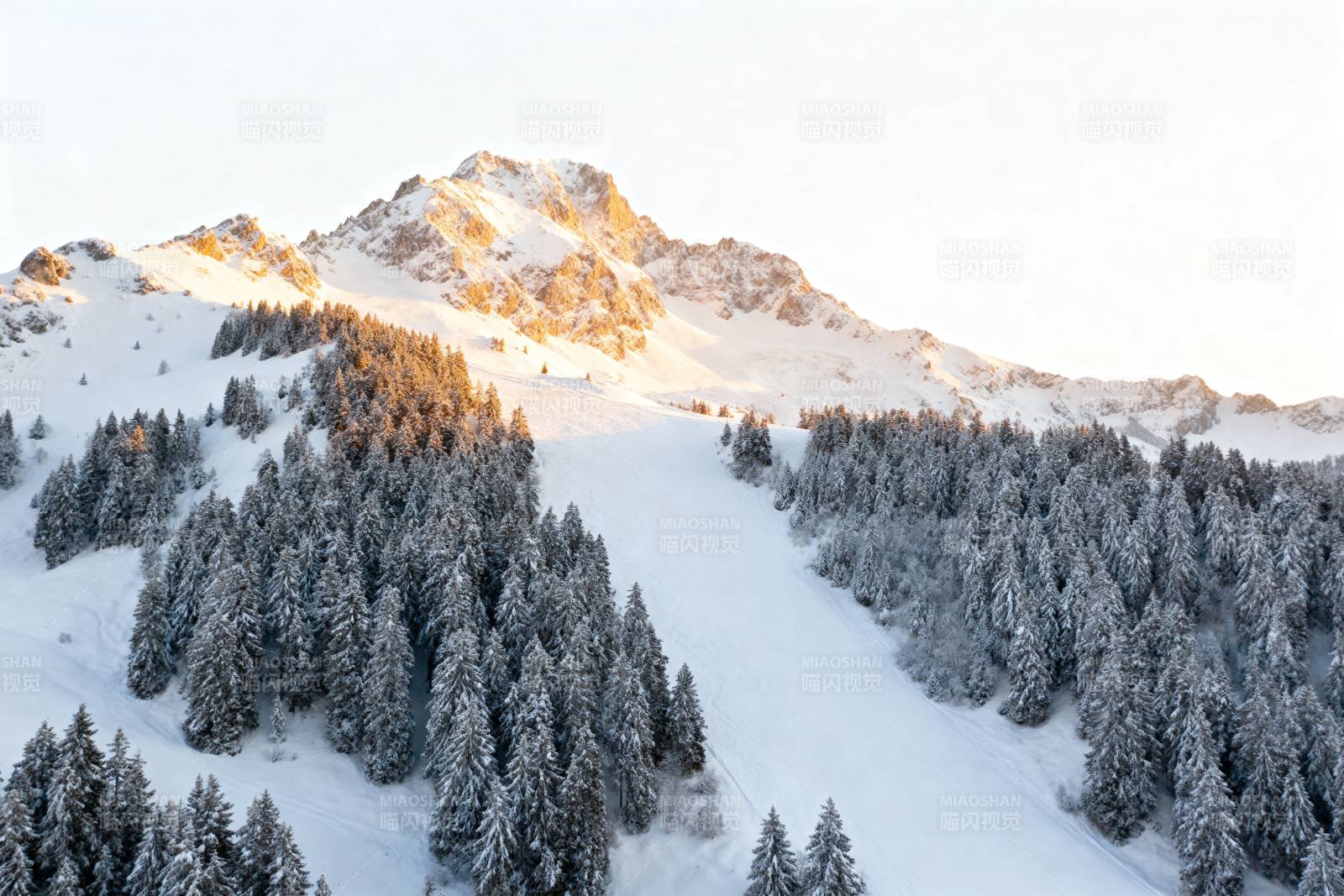 雪峰林海晨光图片