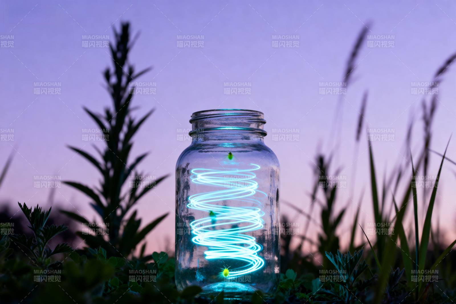 萤火虫瓶中的光图片