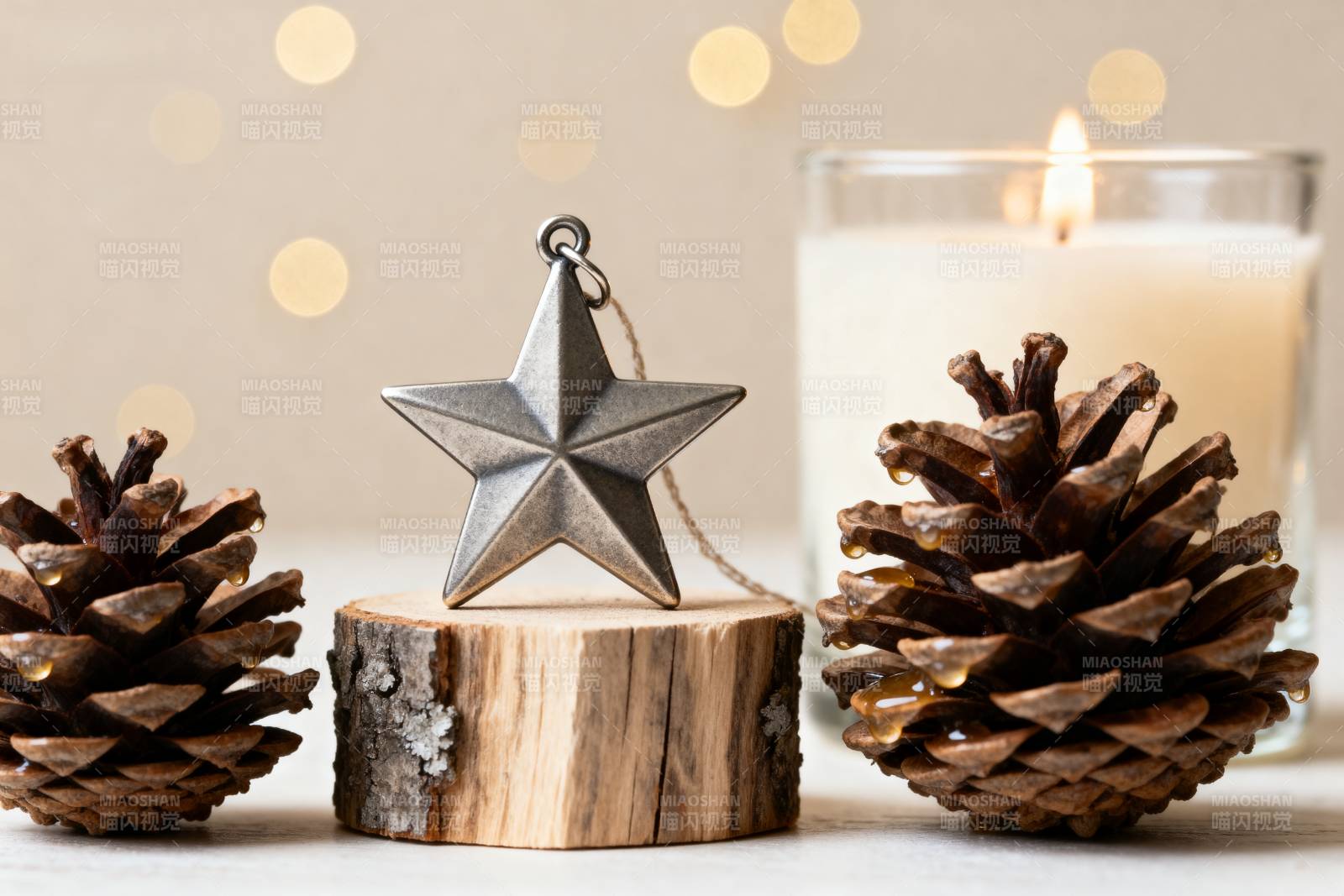 圣诞星与松果静物图片