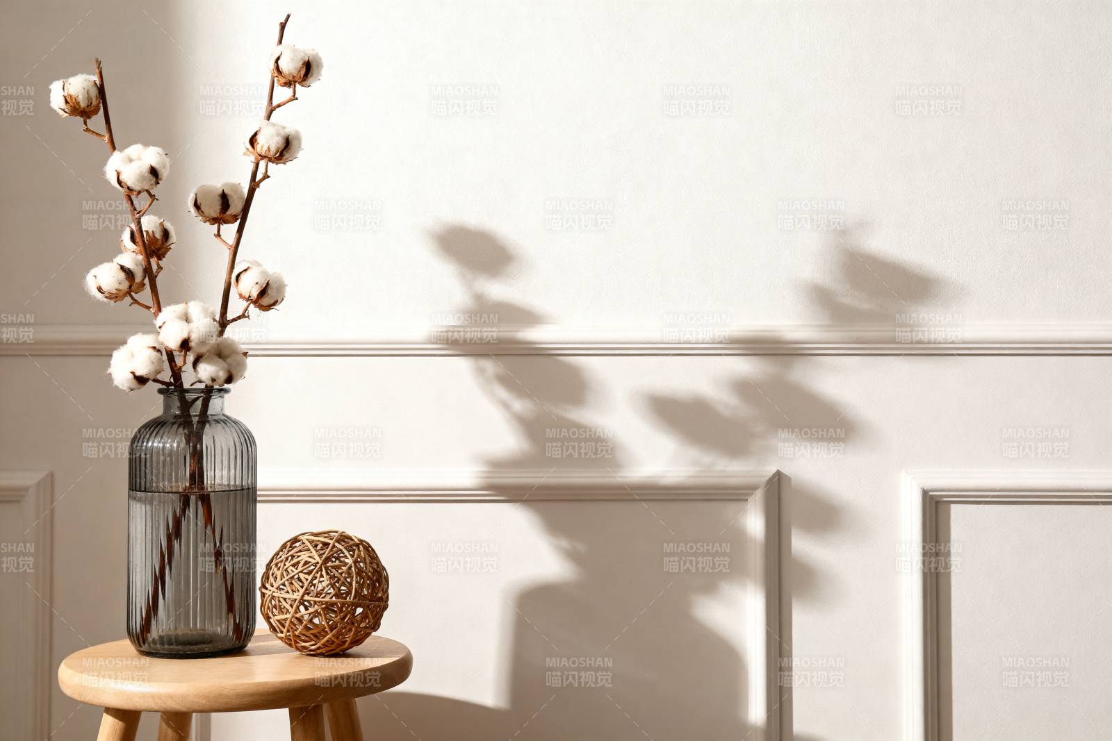 棉枝静物光影图片