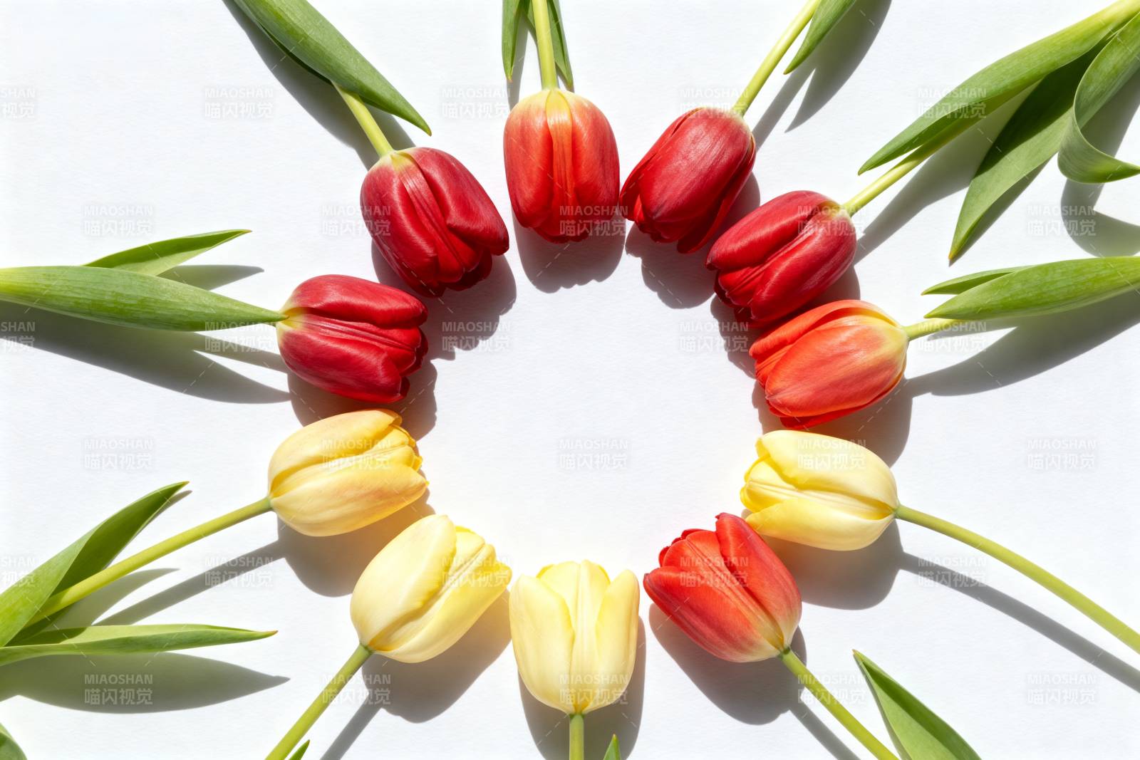 郁金香花环图片