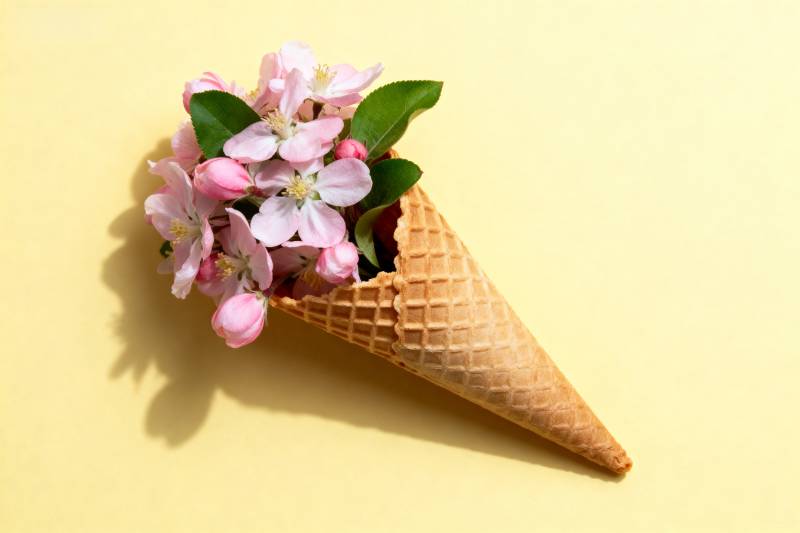 花束冰激凌锥图片