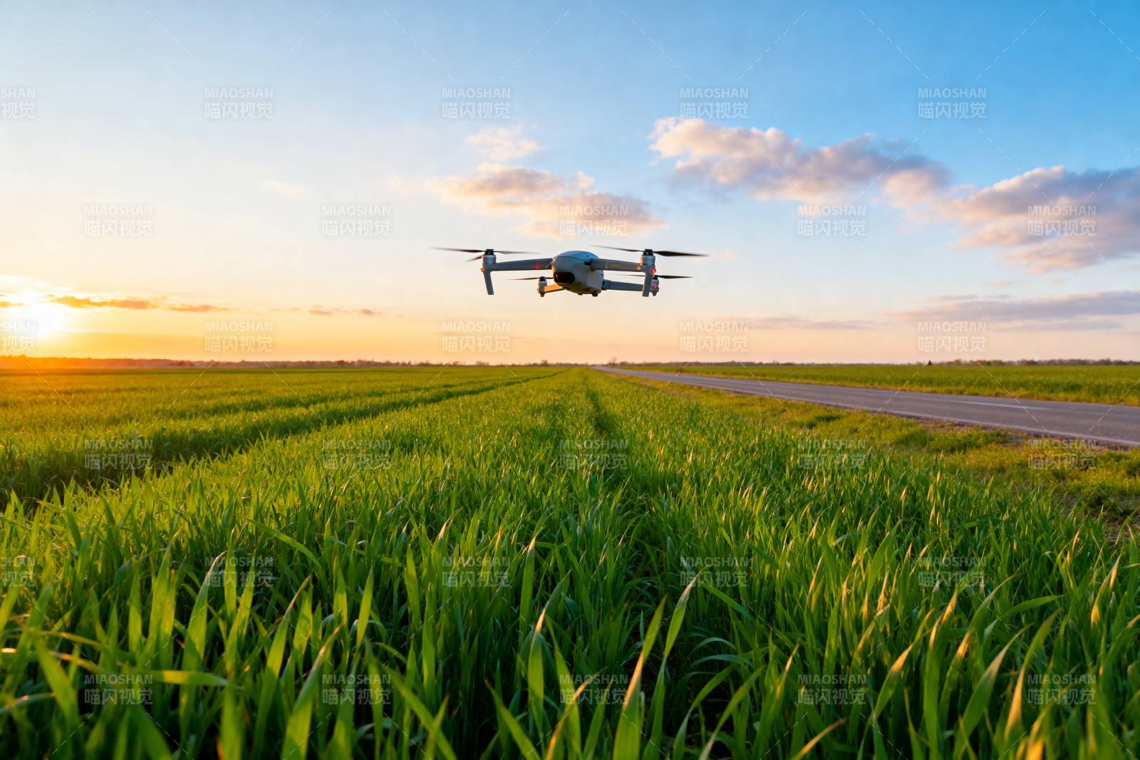 无人机飞越绿野图片