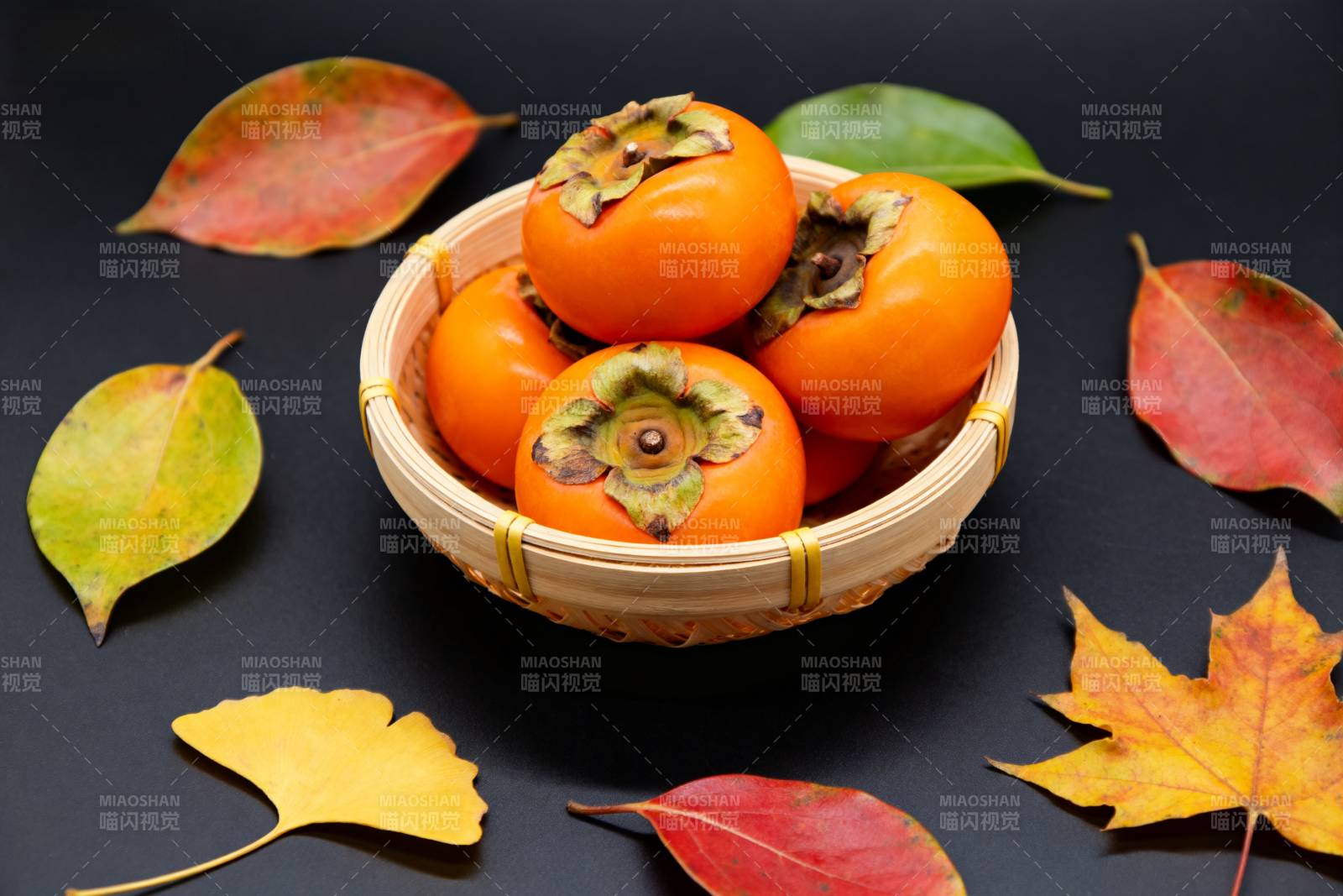 秋日柿子静物图片