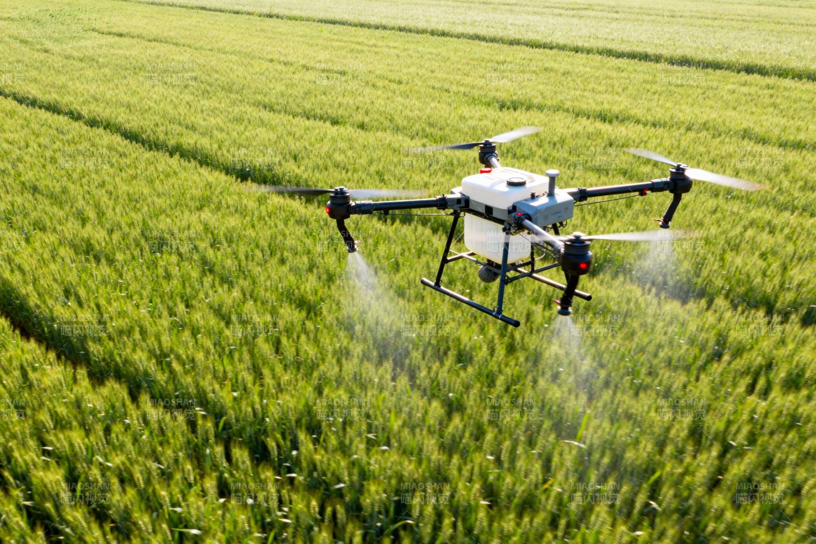 无人机喷洒农田图片
