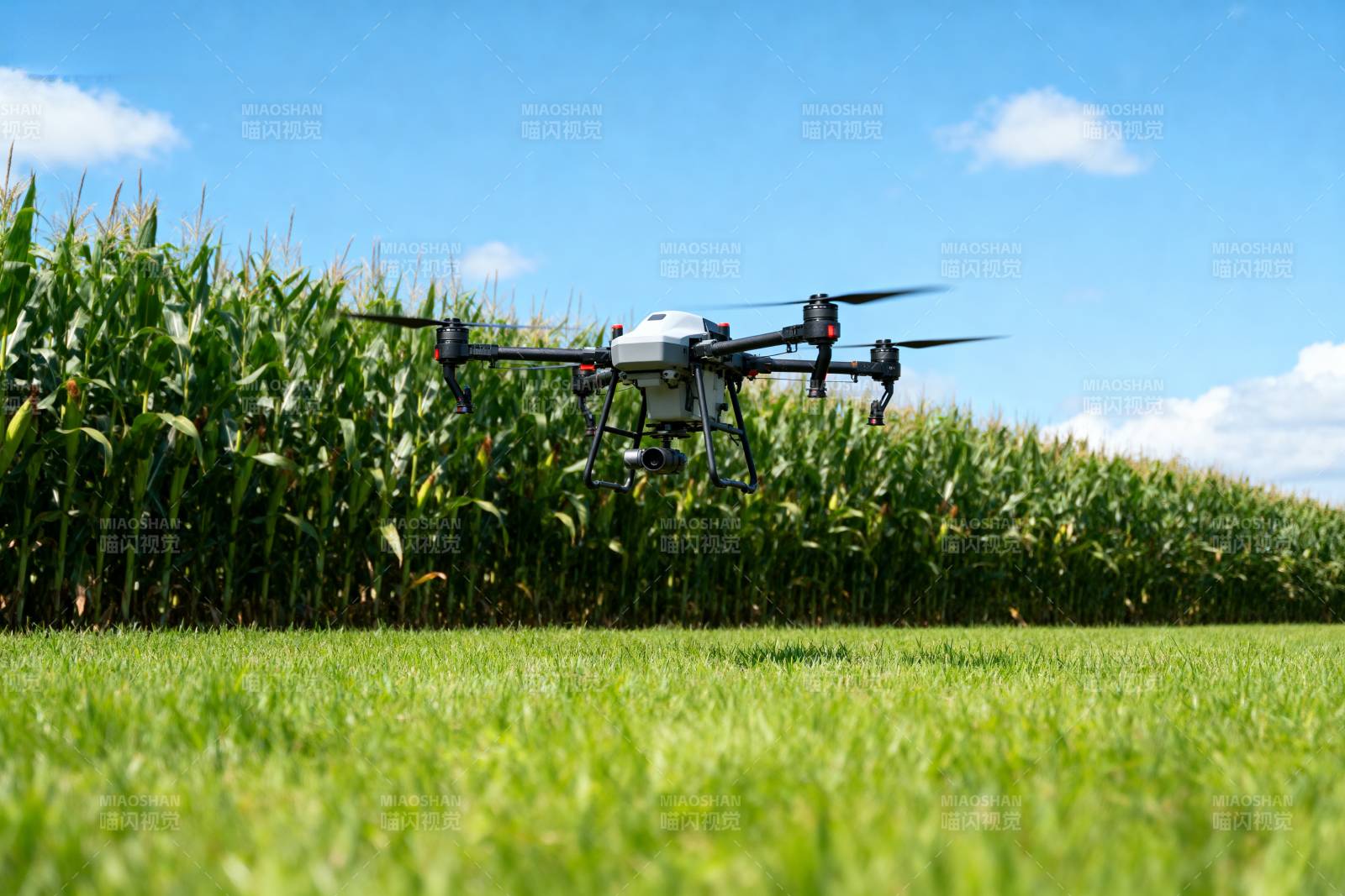 无人机巡田图片