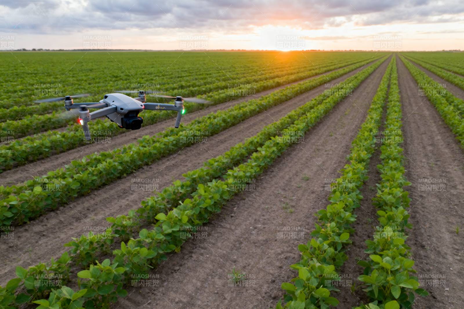 无人机巡田图片