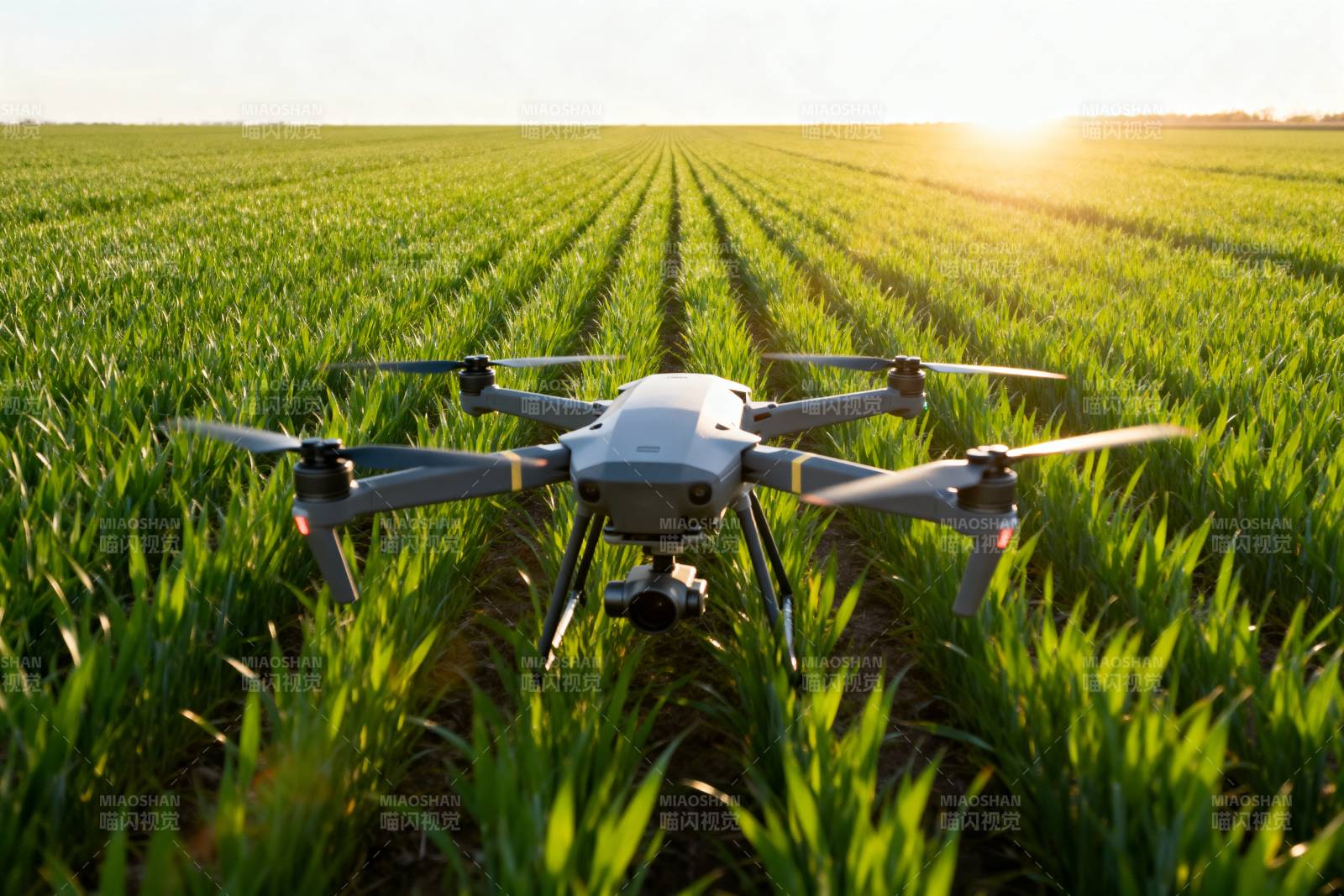 无人机巡田图片