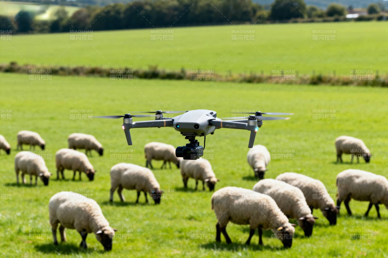无人机牧羊场景图片