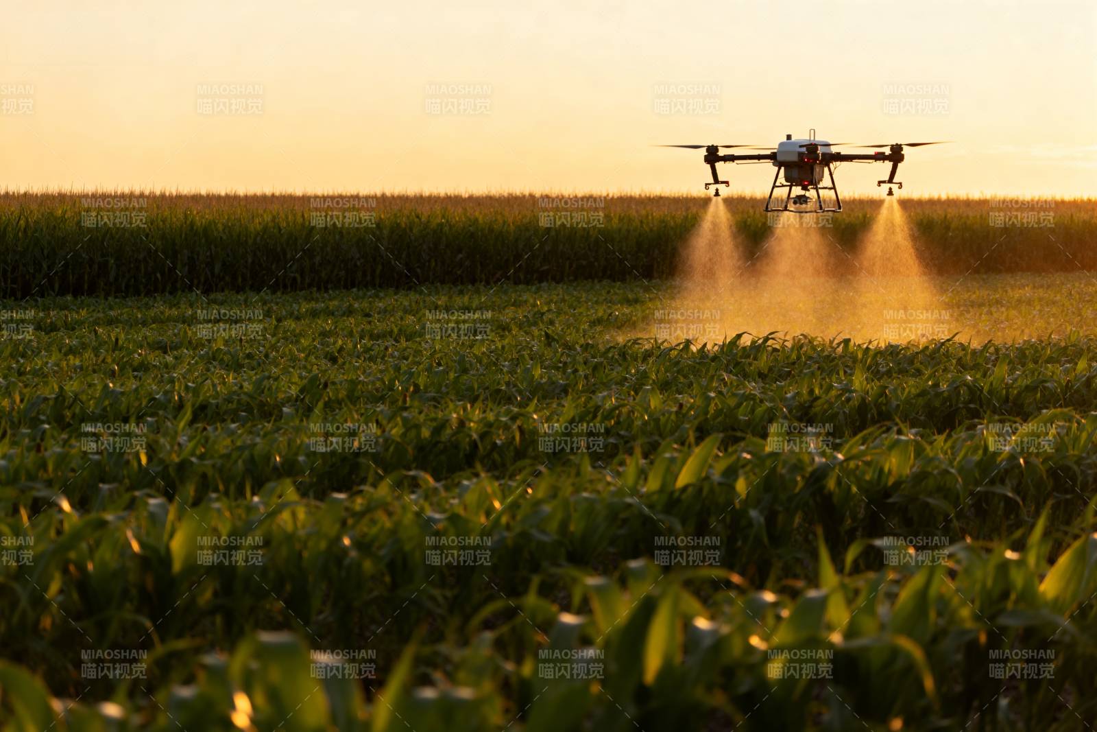 无人机喷洒农田图片