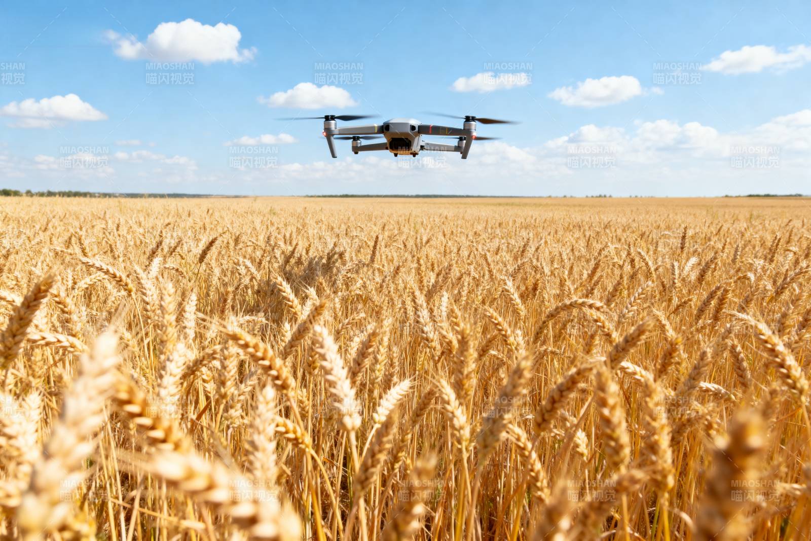 无人机飞越麦田图片