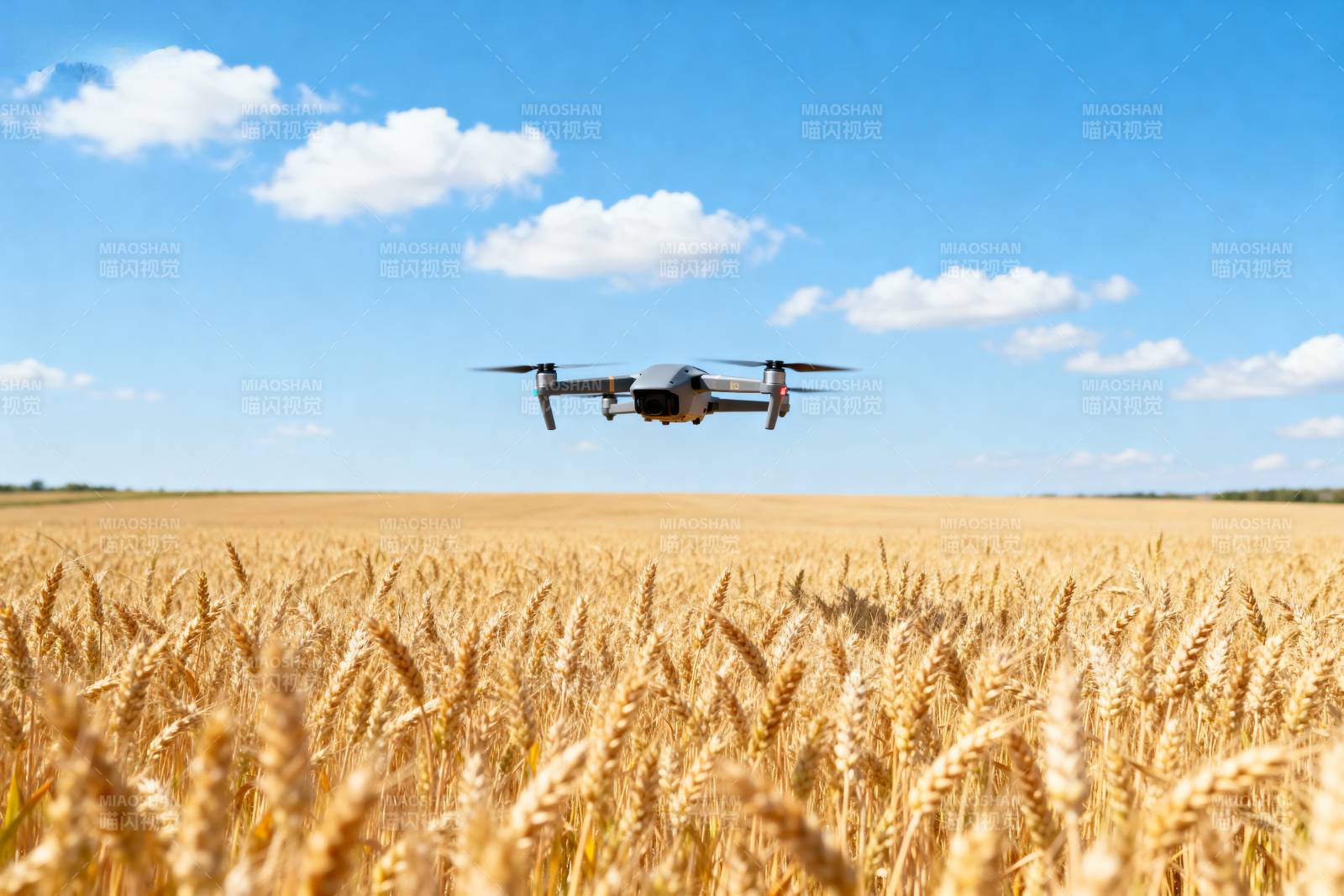 无人机飞越麦田图片