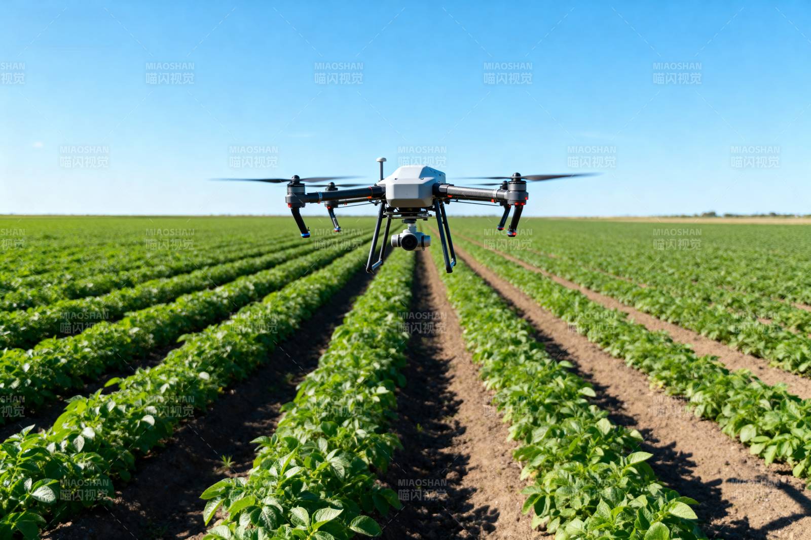 无人机农田巡检图片