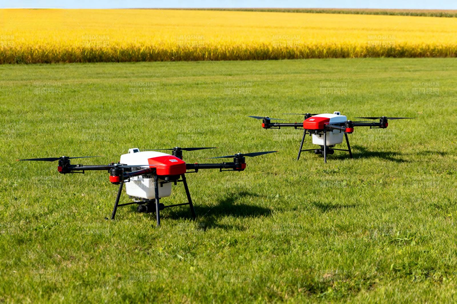 无人机农田作业图片